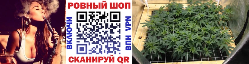 Магазины продажи наркотиков Юрьев-Польский Псилоцибиновые грибы ГАШИШ
