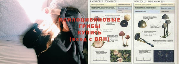 меф Беломорск