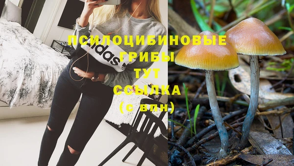 амф Белокуриха
