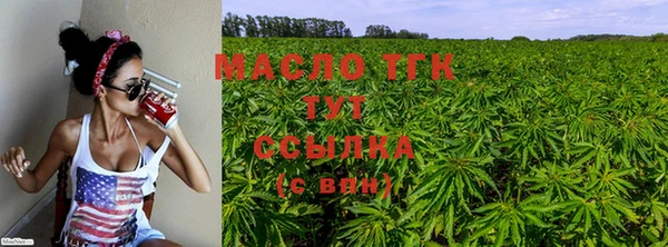 гашик Белоозёрский