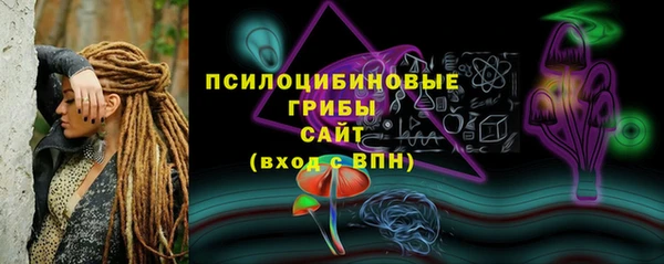 гашик Белоозёрский