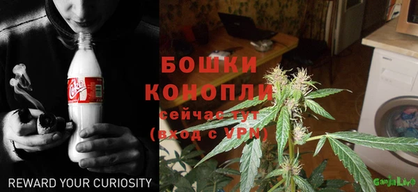 амф Белокуриха