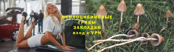 гашик Белоозёрский