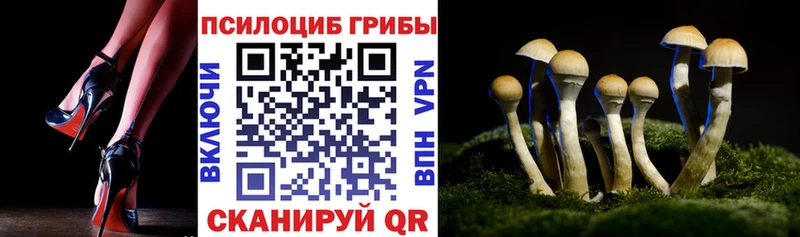 Псилоцибиновые грибы прущие грибы Юрьев-Польский